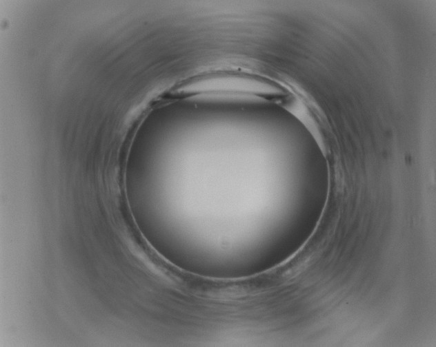 X0000073930485200609082307