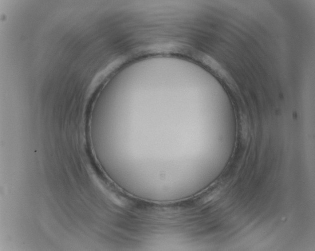 X0000073930486200609082307