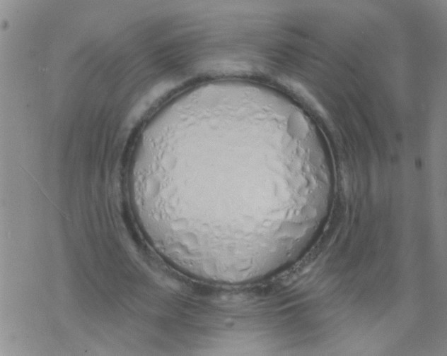 X0000073930487200609082306