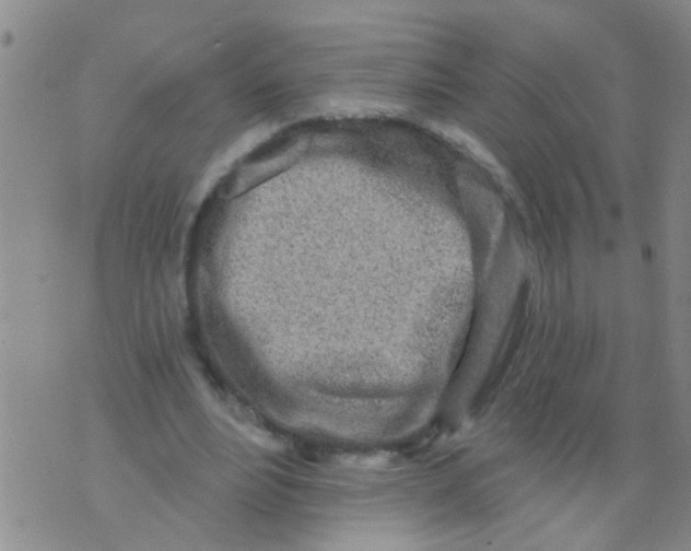 X0000073930488200609082306