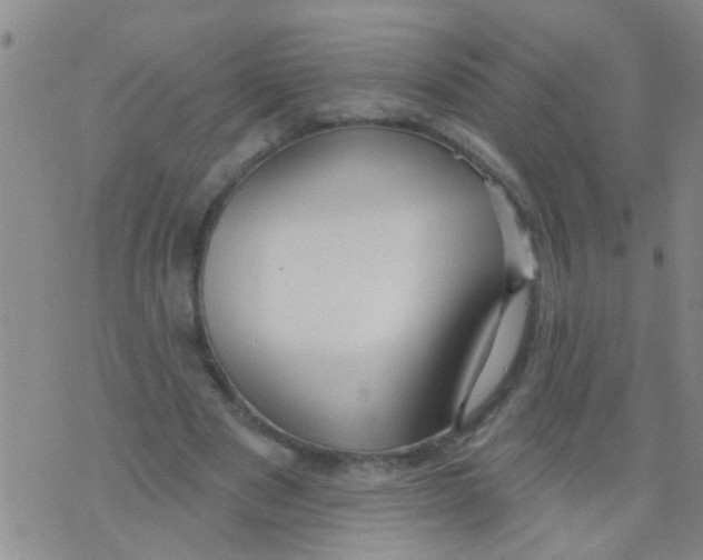 X0000073930489200609082306