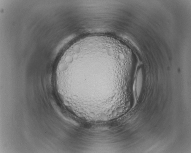 X0000073930491200609082306