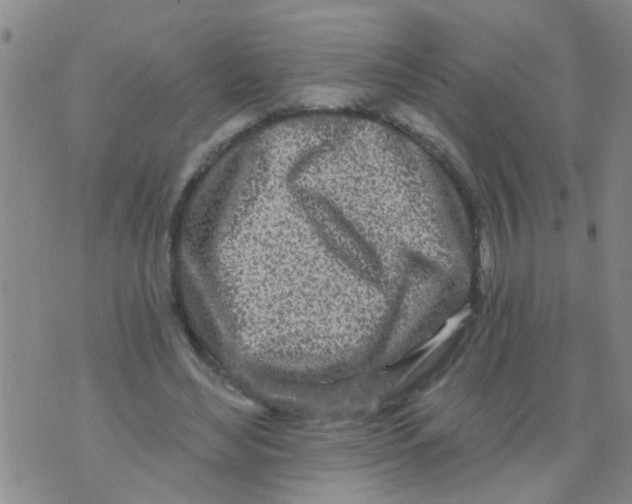 X0000073930492200609082306