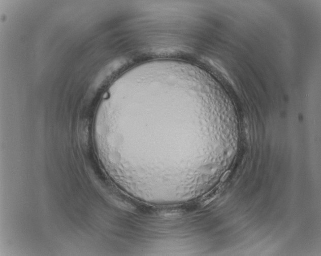 X0000073930495200609082306