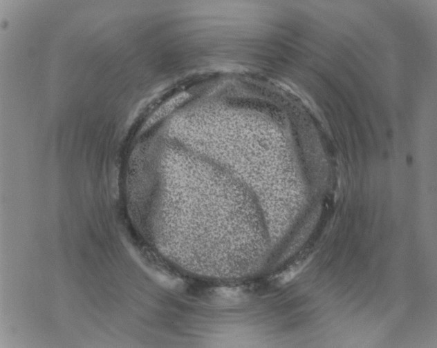 X0000073930496200609082306