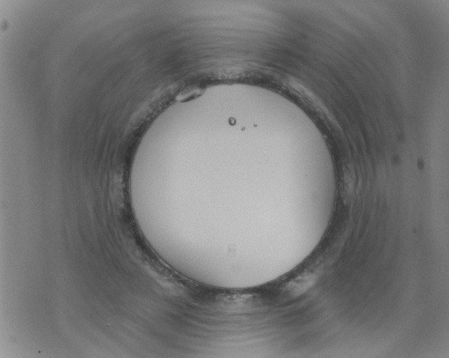 X0000073930497200609082306