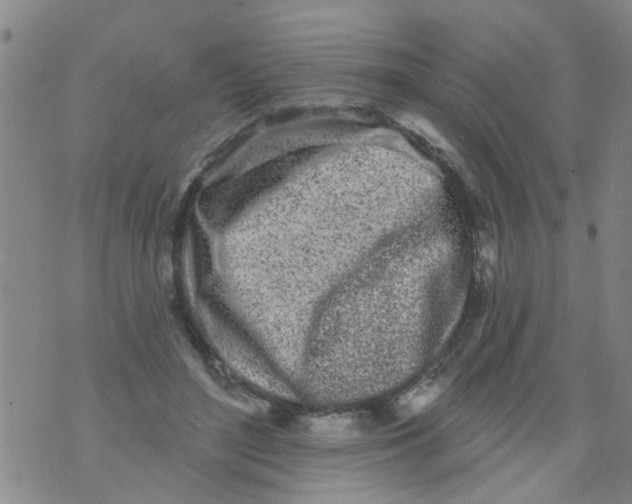 X0000073930500200609082306