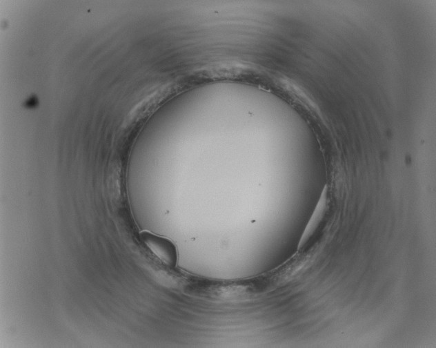 X0000073930501200609082306