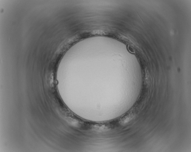 X0000073930502200609082306