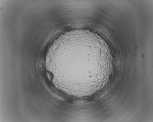 X0000073930503200609082306