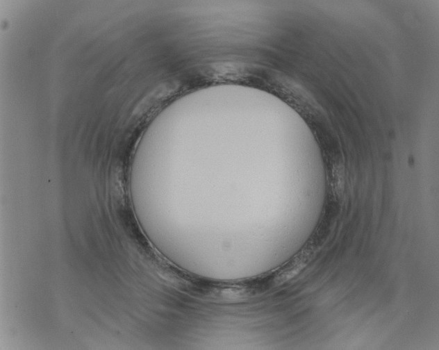 X0000073930506200609082306