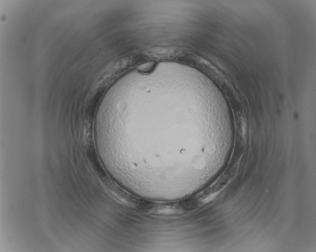 X0000073930507200609082306