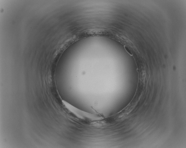 X0000073930508200609082306