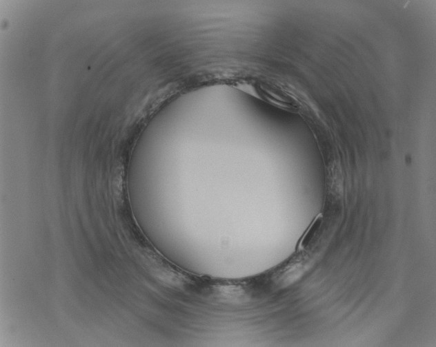 X0000073930509200609082306