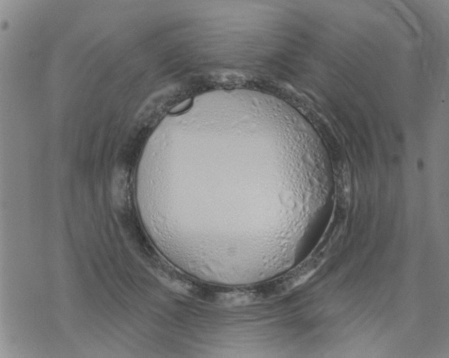 X0000073930511200609082306