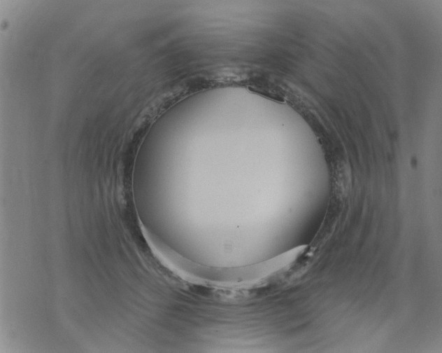 X0000073930512200609082306