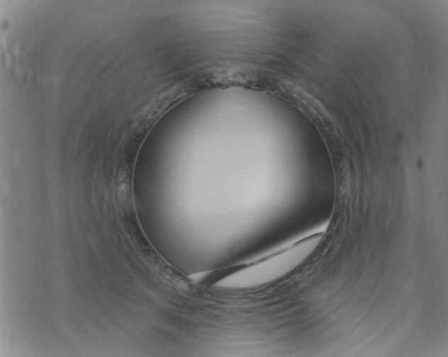 X0000073930513200609082306