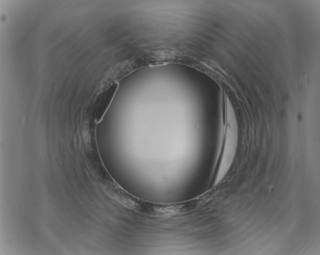 X0000073930516200609082306