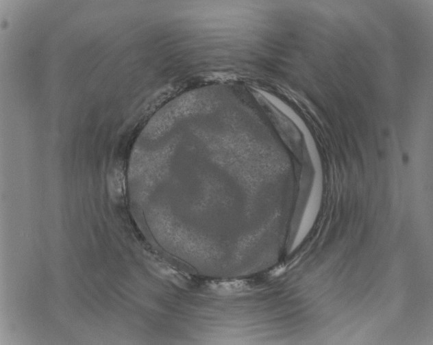 X0000073930517200609082306