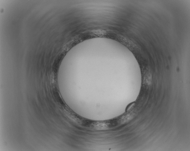 X0000073930518200609082306