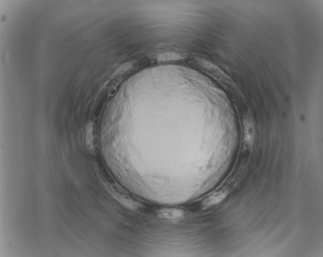 X0000073930519200609082306