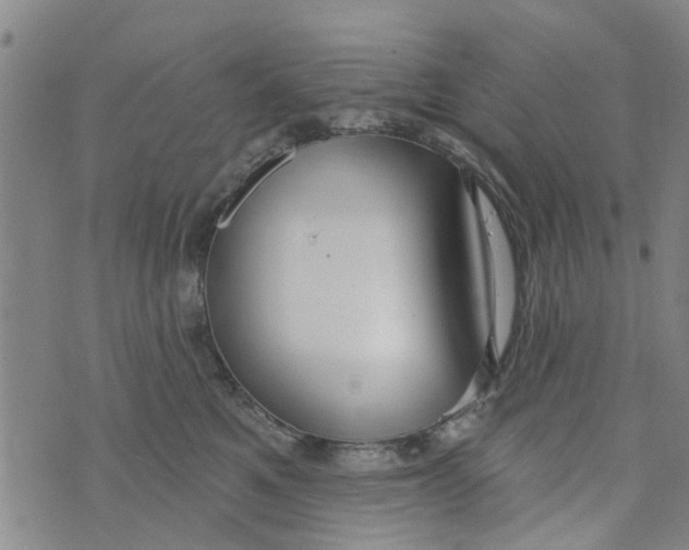 X0000073930521200609082306