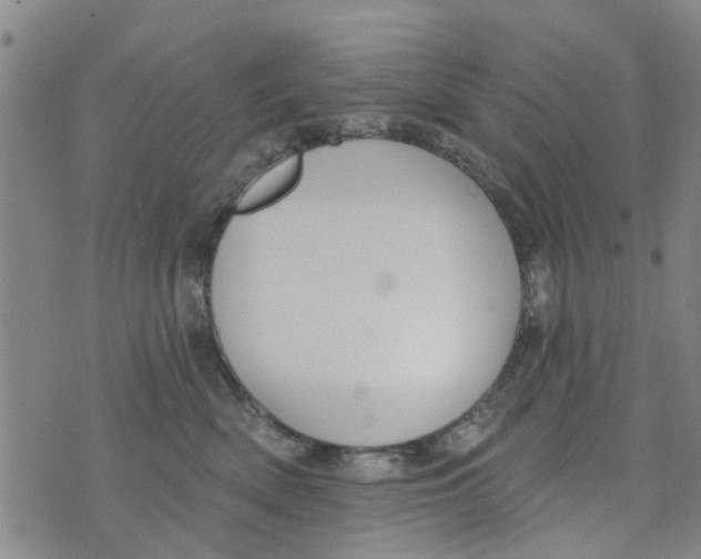 X0000073930522200609082306