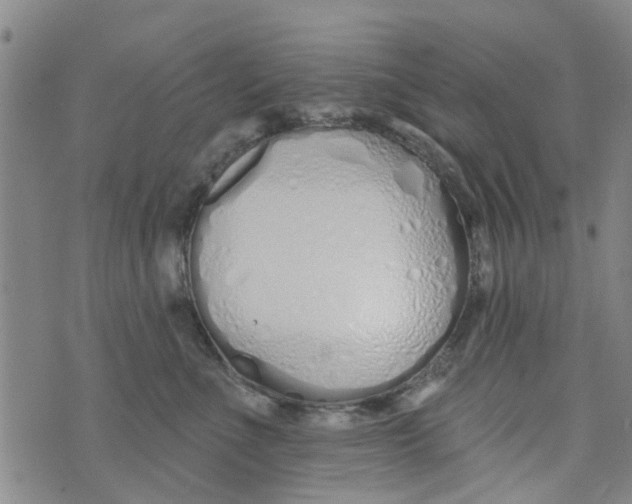 X0000073930523200609082306