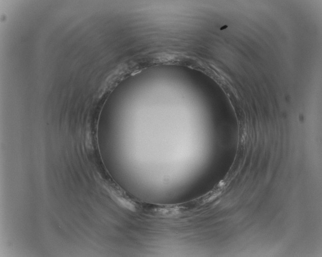 X0000073930524200609082306