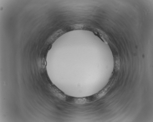 X0000073930525200609082306