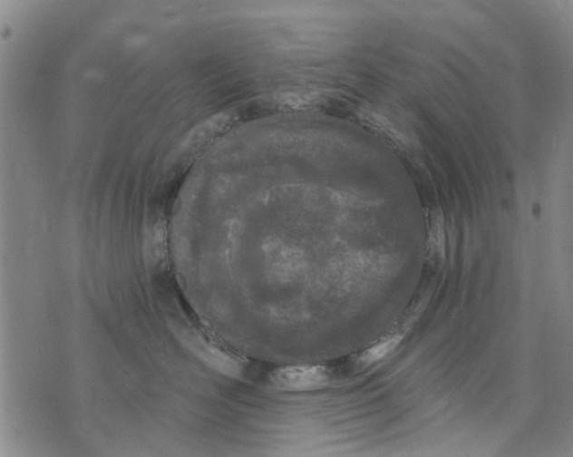 X0000073930526200609082306