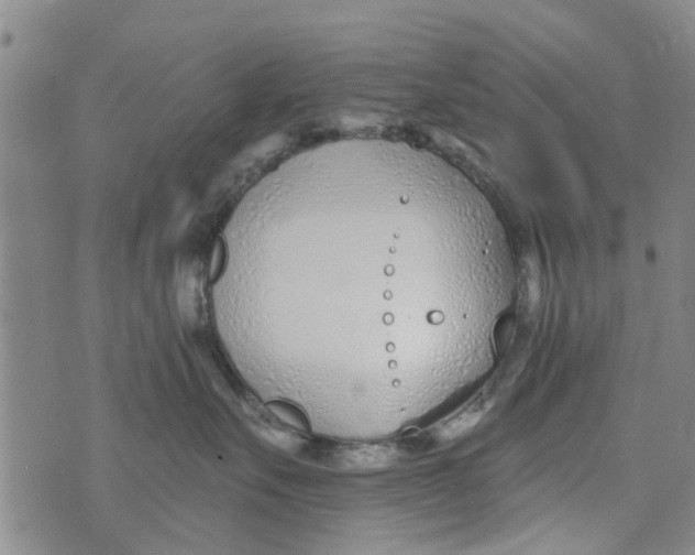 X0000073930527200609082306