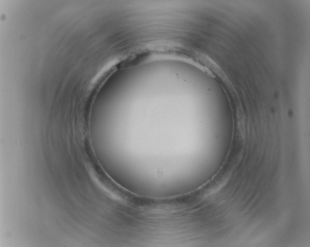 X0000073930530200609082305