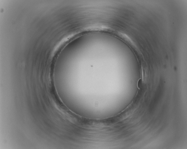 X0000073930531200609082305