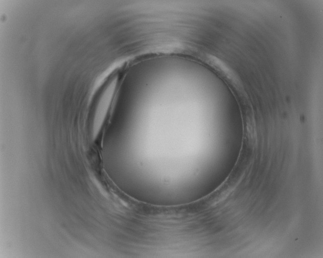 X0000073930532200609082305