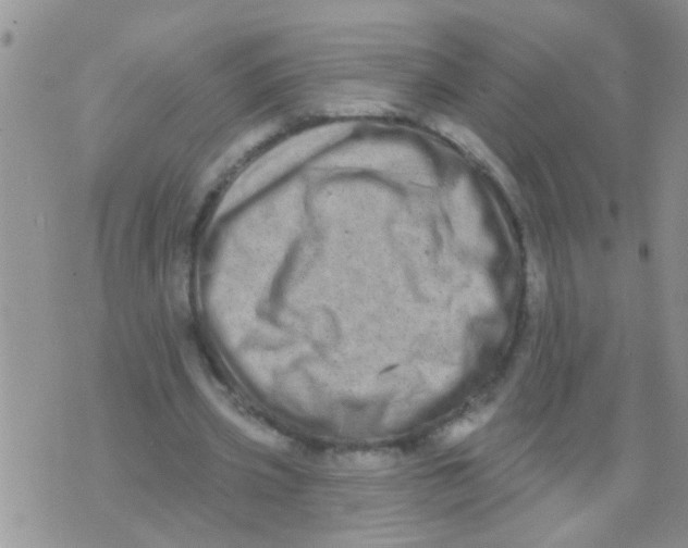 X0000073930533200609082305