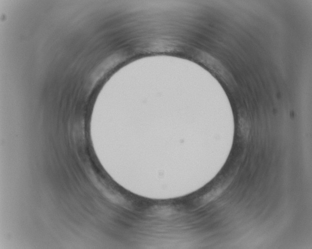 X0000073930534200609082305