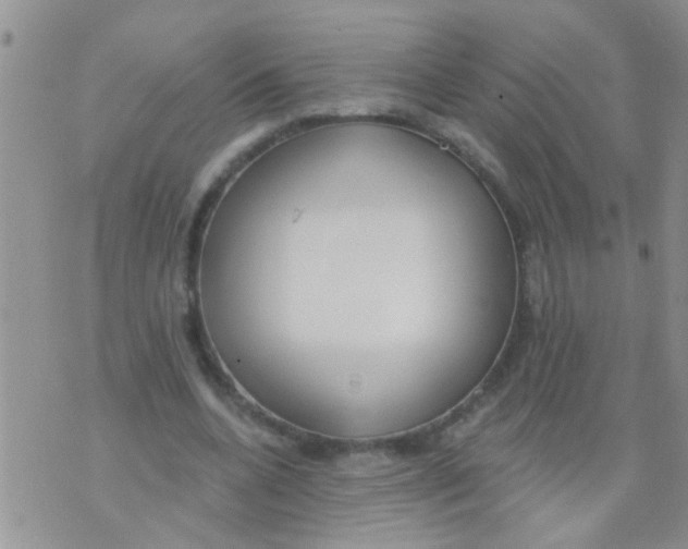 X0000073930536200609082305