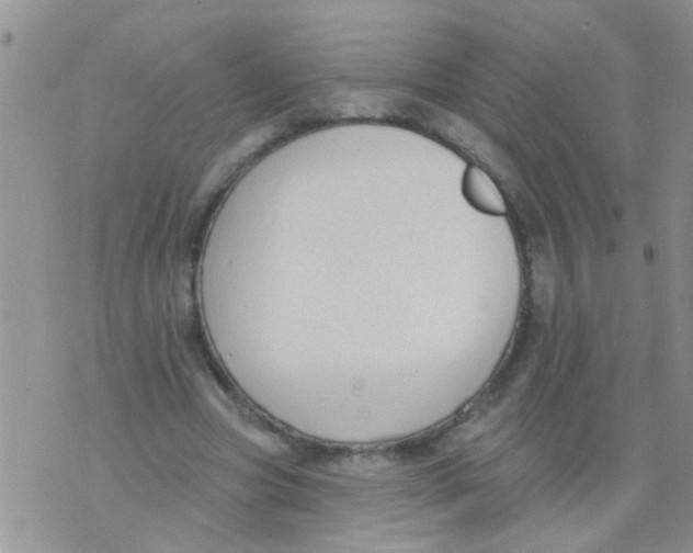 X0000073930537200609082305