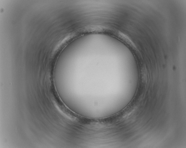 X0000073930538200609082305