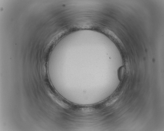 X0000073930541200609082305