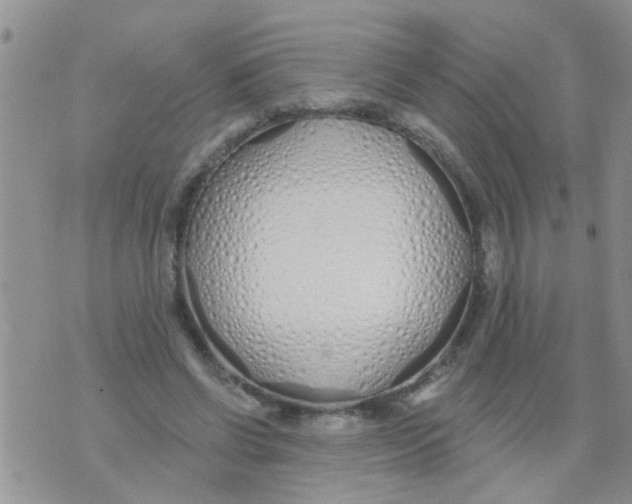 X0000073930542200609082305