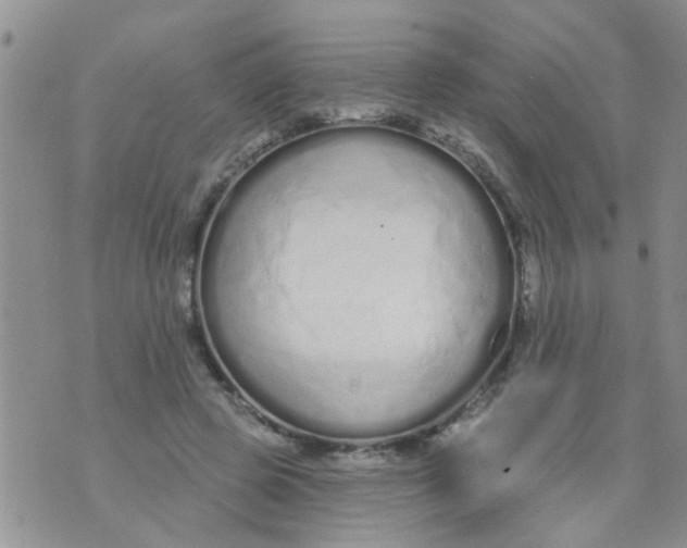 X0000073930545200609082305