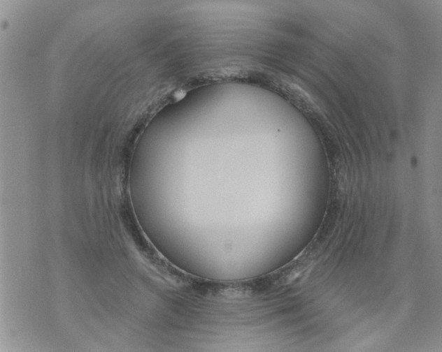 X0000073930546200609082305