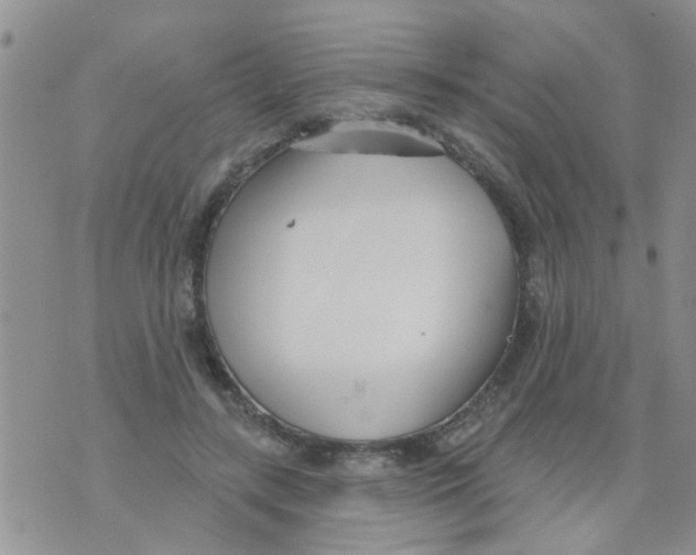 X0000073930547200609082305