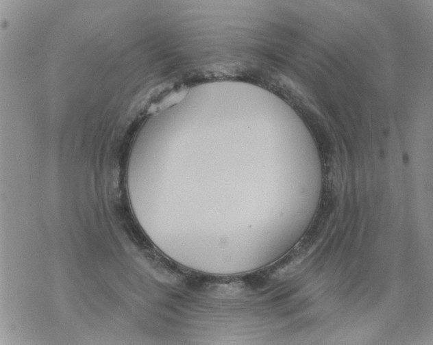 X0000073930548200609082305