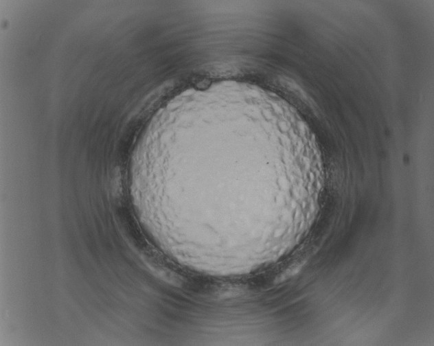 X0000073930549200609082305