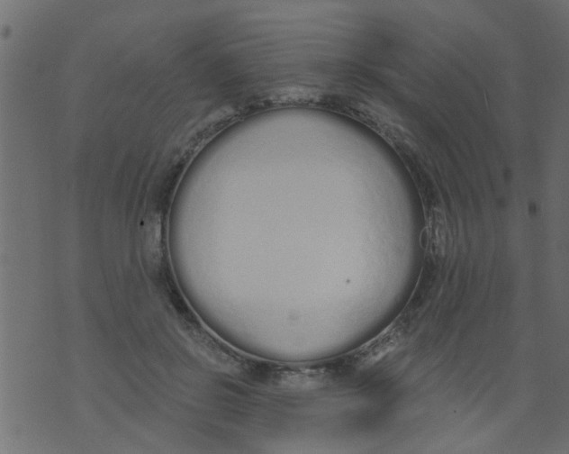 X0000073930550200609082305