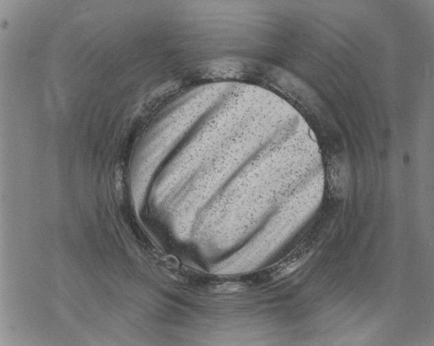 X0000073930551200609082305