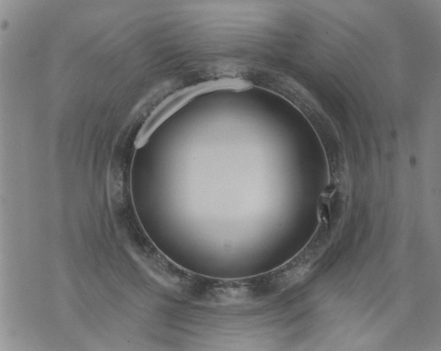 X0000073930552200609082305